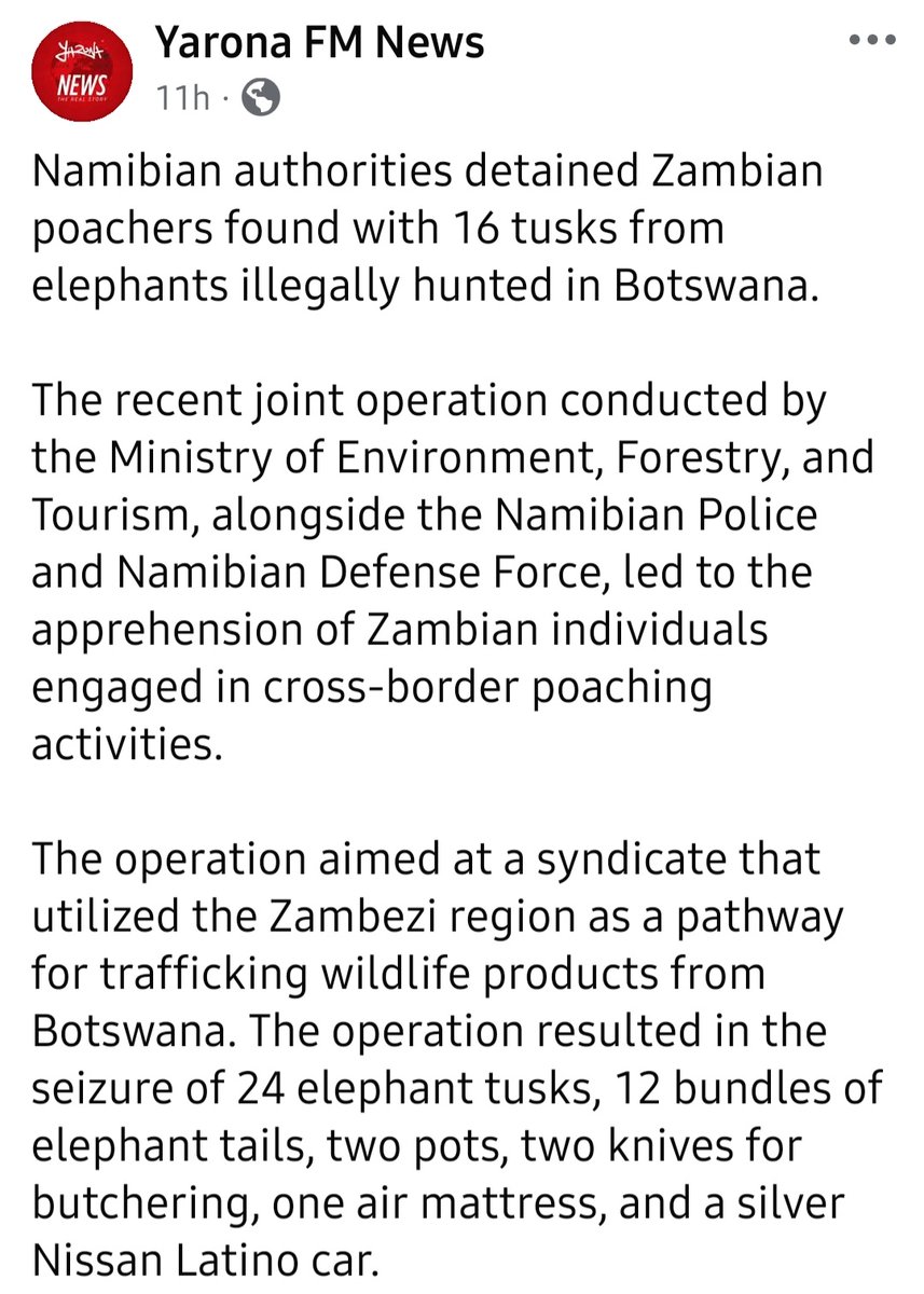 Sue Spurgin tweet media