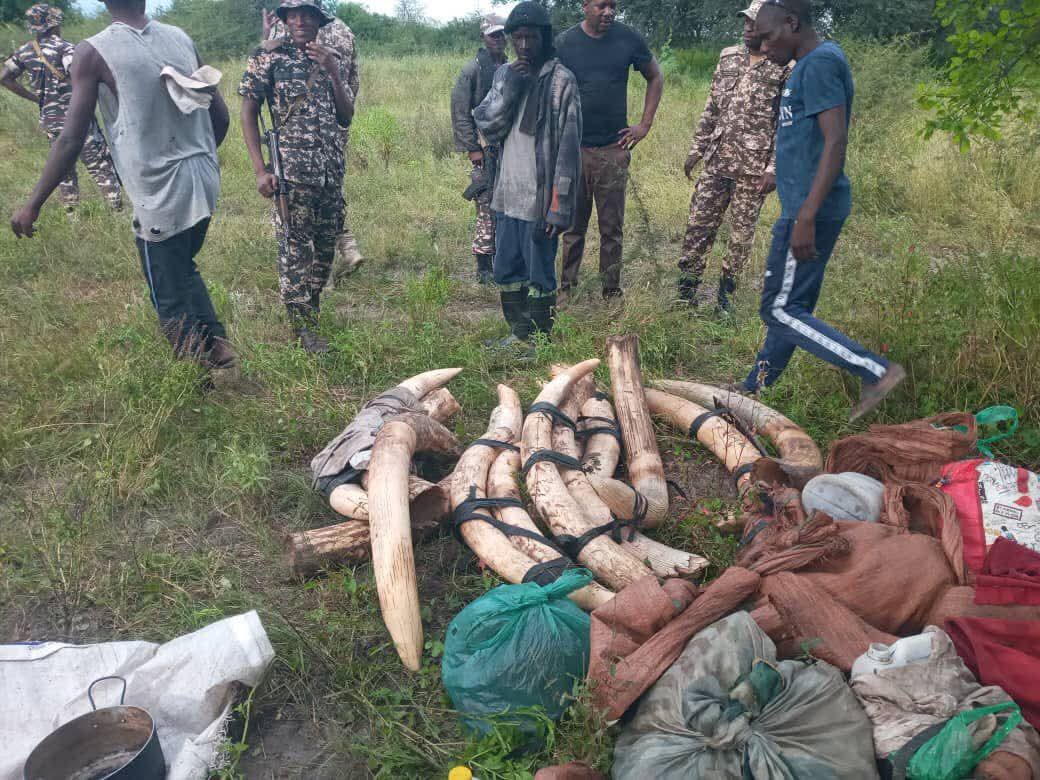 Sue Spurgin tweet media