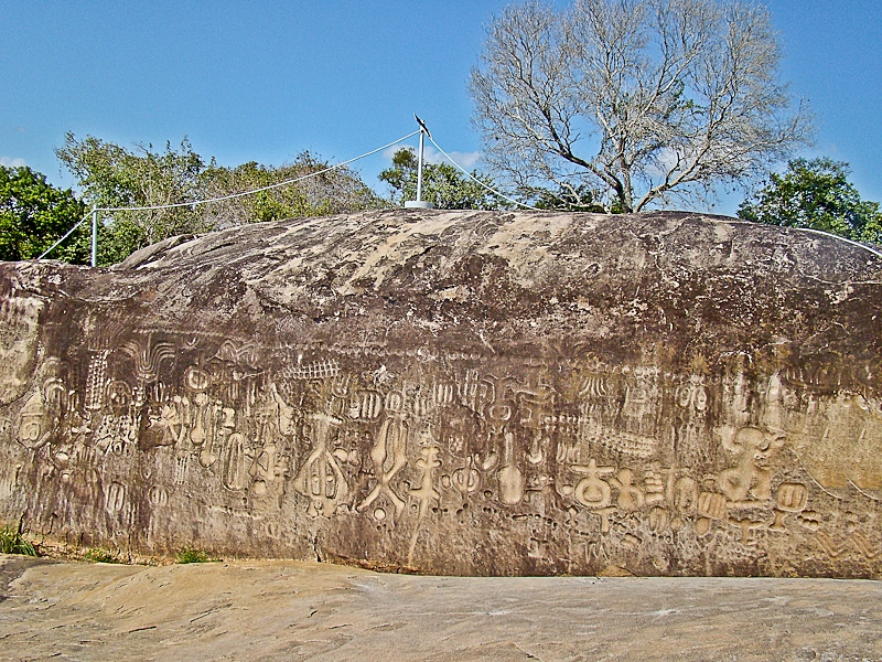 🚨 In the jungles of northeast Brazil, a 46-metre rock face is covered ...