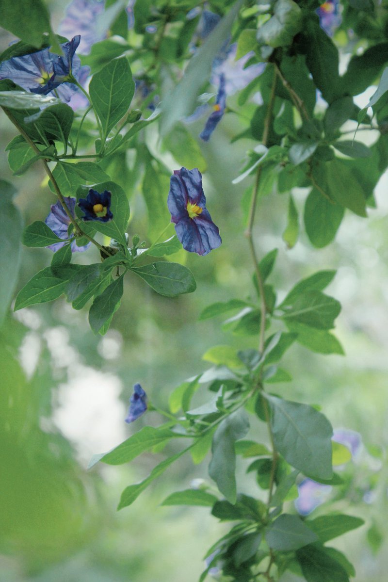 Blessing♡ tweet media