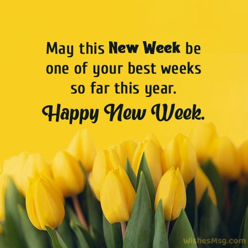 joethuku.elementpay.eth tweet media