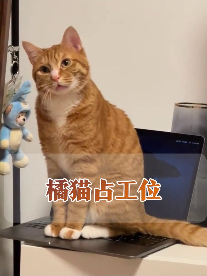 Jack Hall tweet media