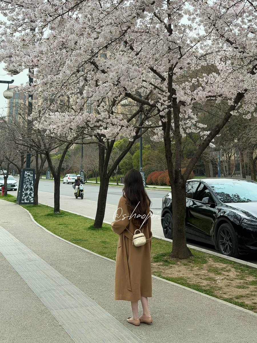 凉拌苕皮 tweet media