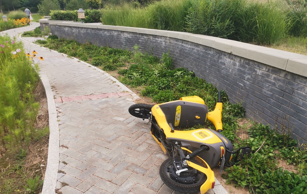 Brittany Schultz tweet media