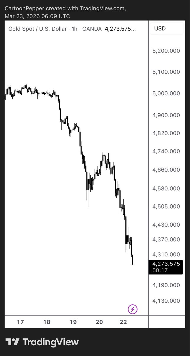 SalsaTekila tweet media