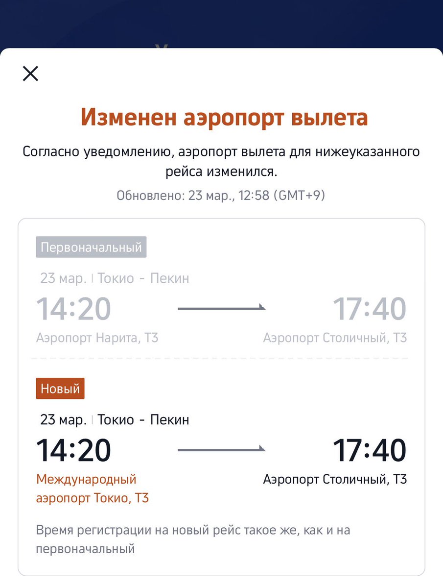 Родион через о tweet media