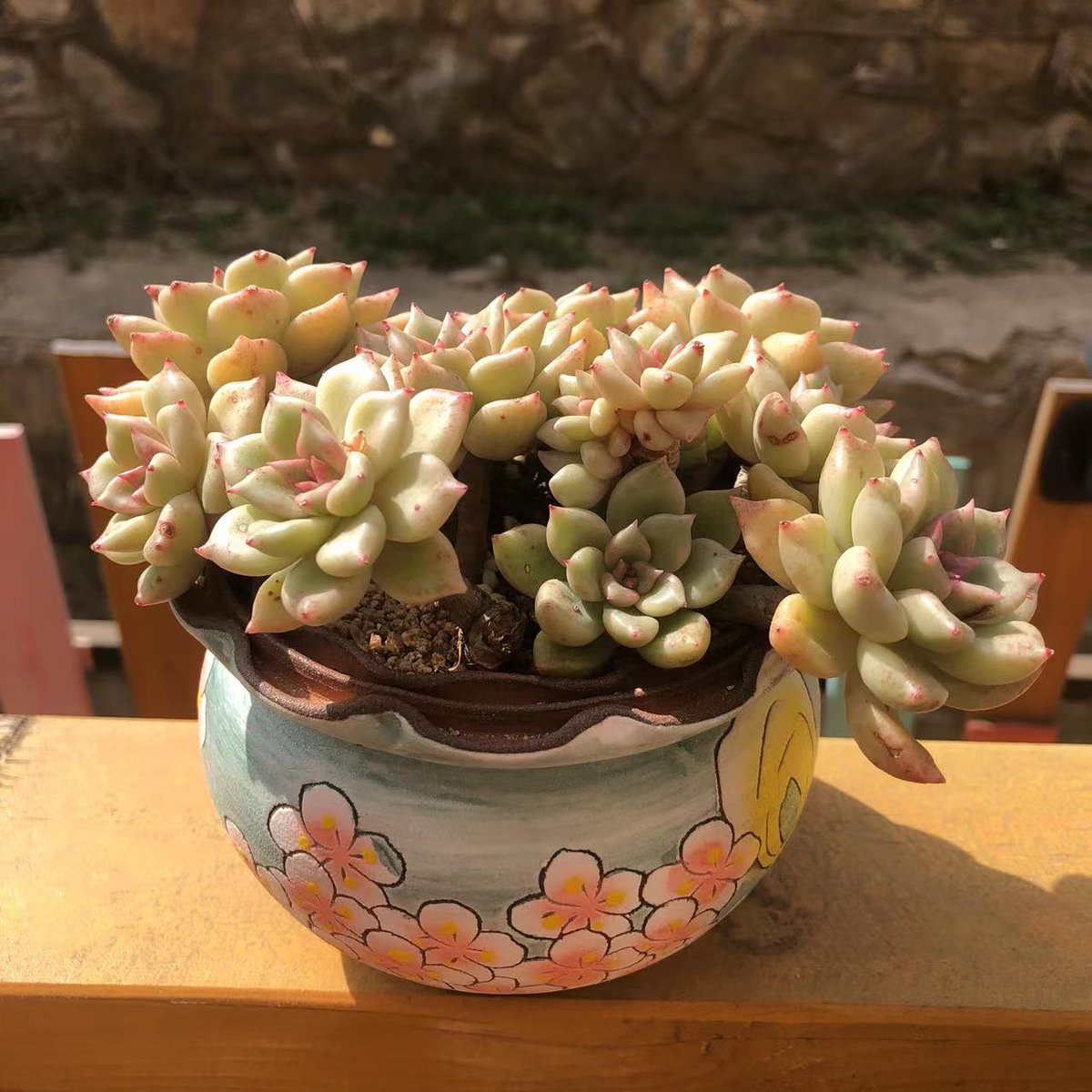 Tayla Ann Lloyd tweet media