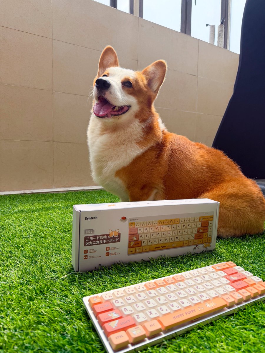 Syntech JP tweet media