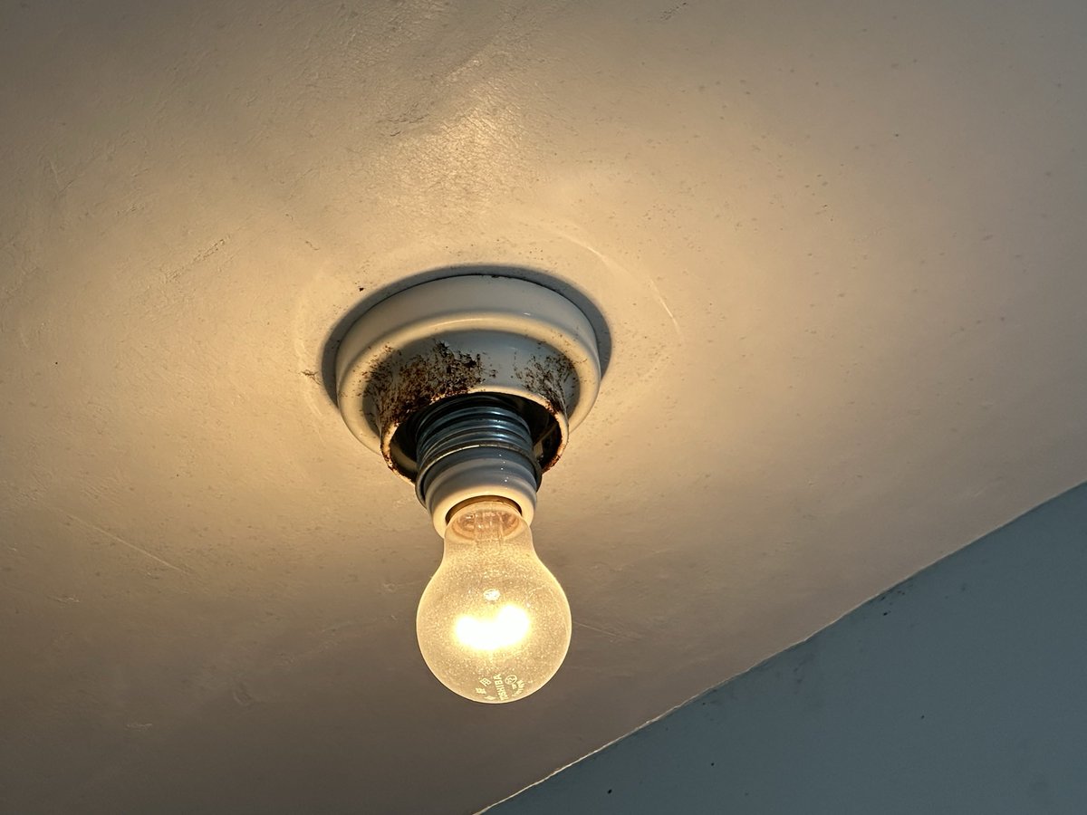 ちゅんちゅんこやぎ🐐🌸 tweet media