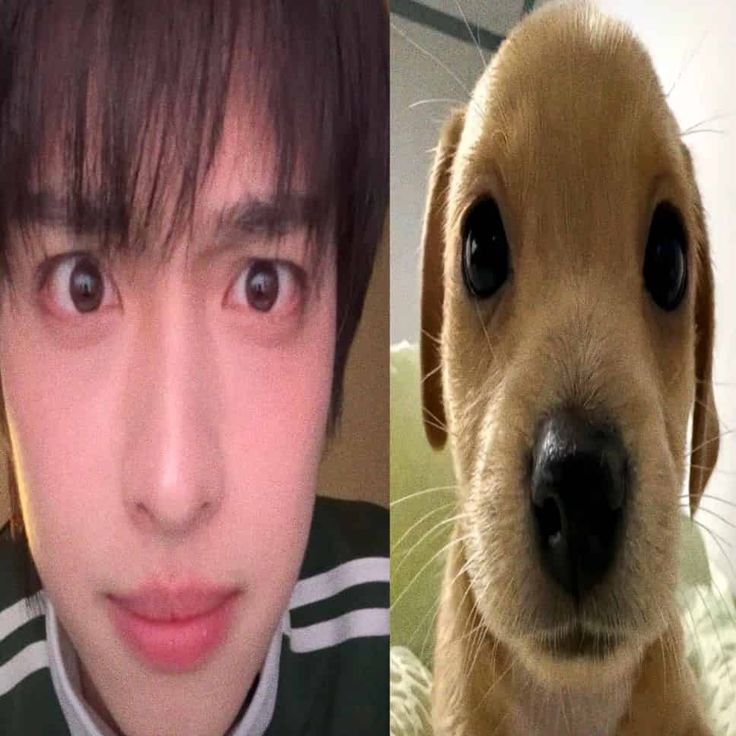 happy national puppy day! 🐕