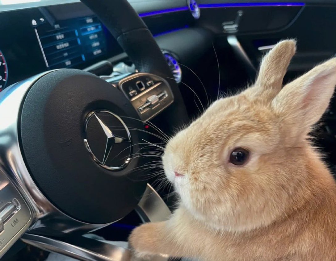 ally ✨ tweet media