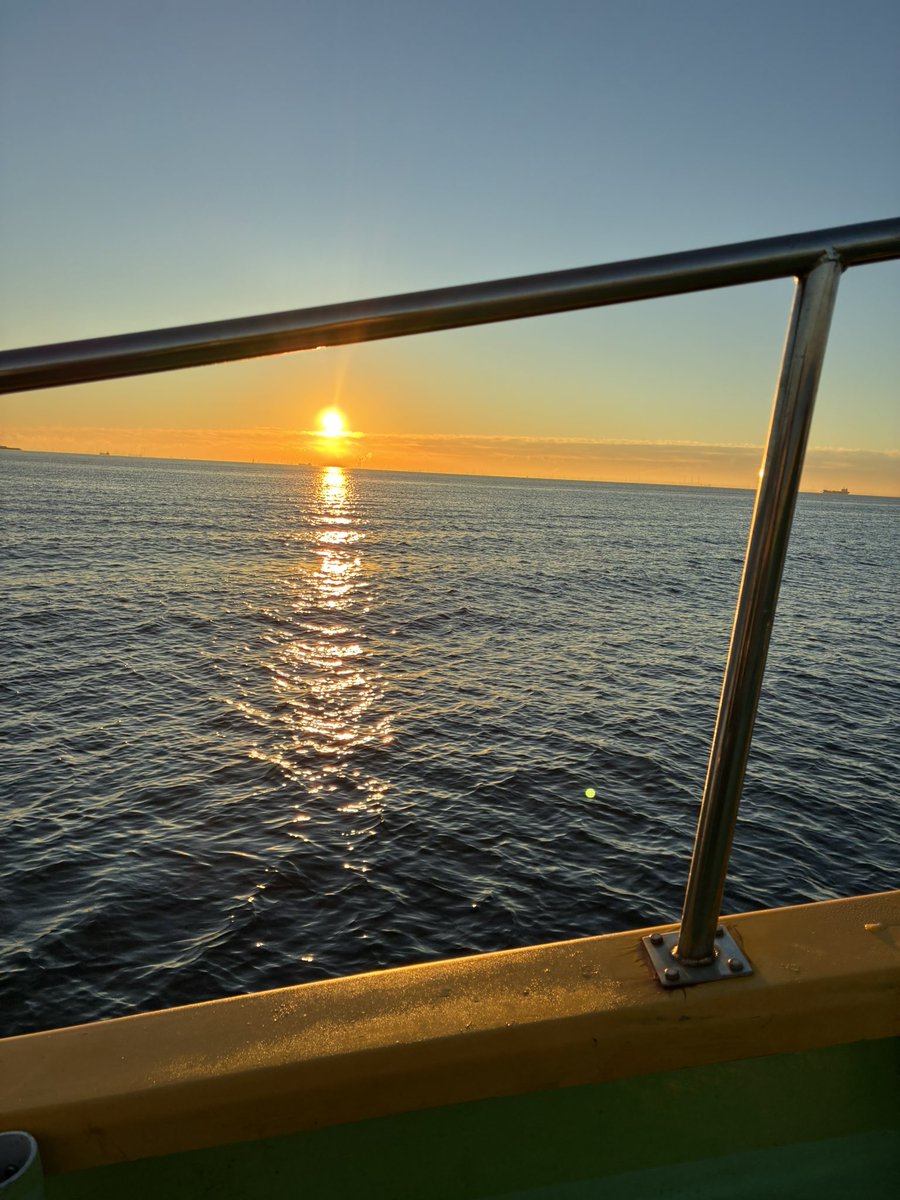 ハンドクリーム tweet media