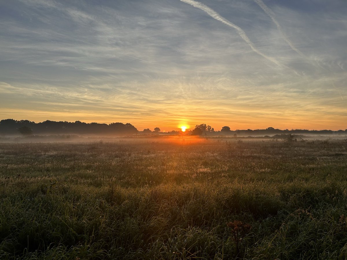 Martijn van der Wal tweet media