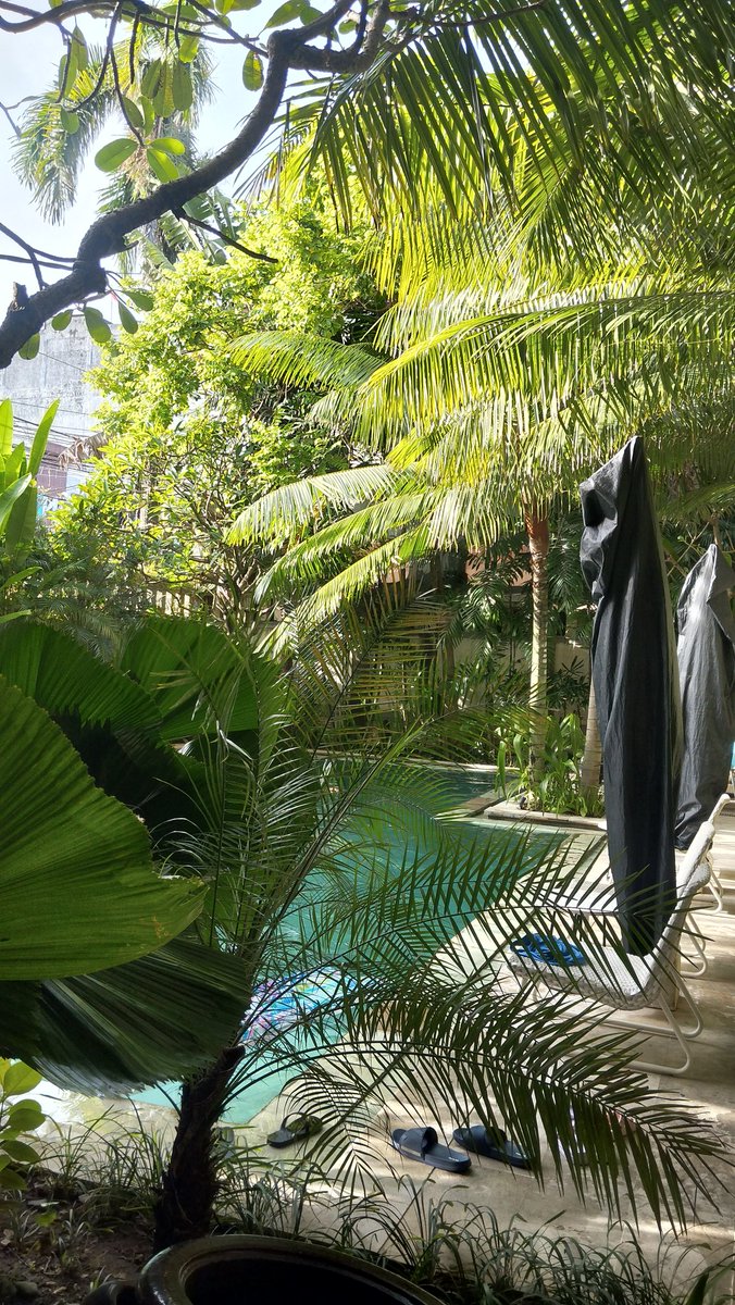 karee🍒 tweet media