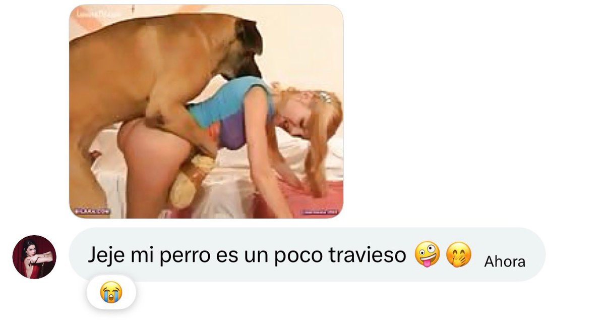 Reput_KOs tweet media