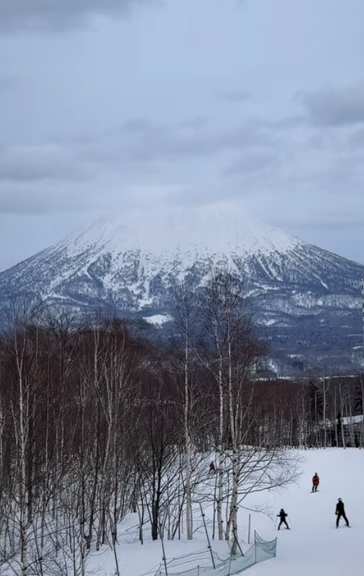 🎏 Groz 🐈‍⬛ 🛸 tweet media