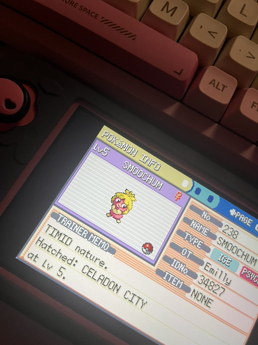 emitriz 🐙 tweet media