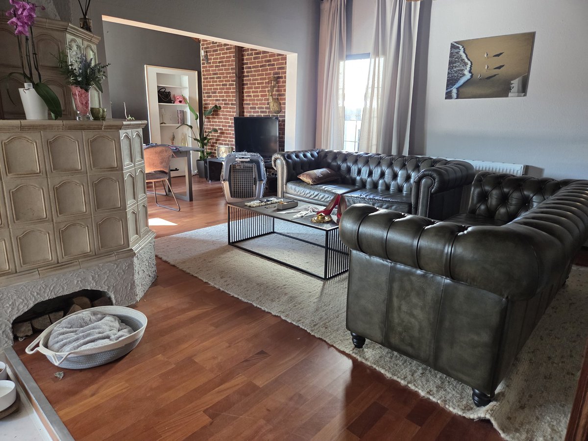 Gräfin Jolie von Sado tweet media