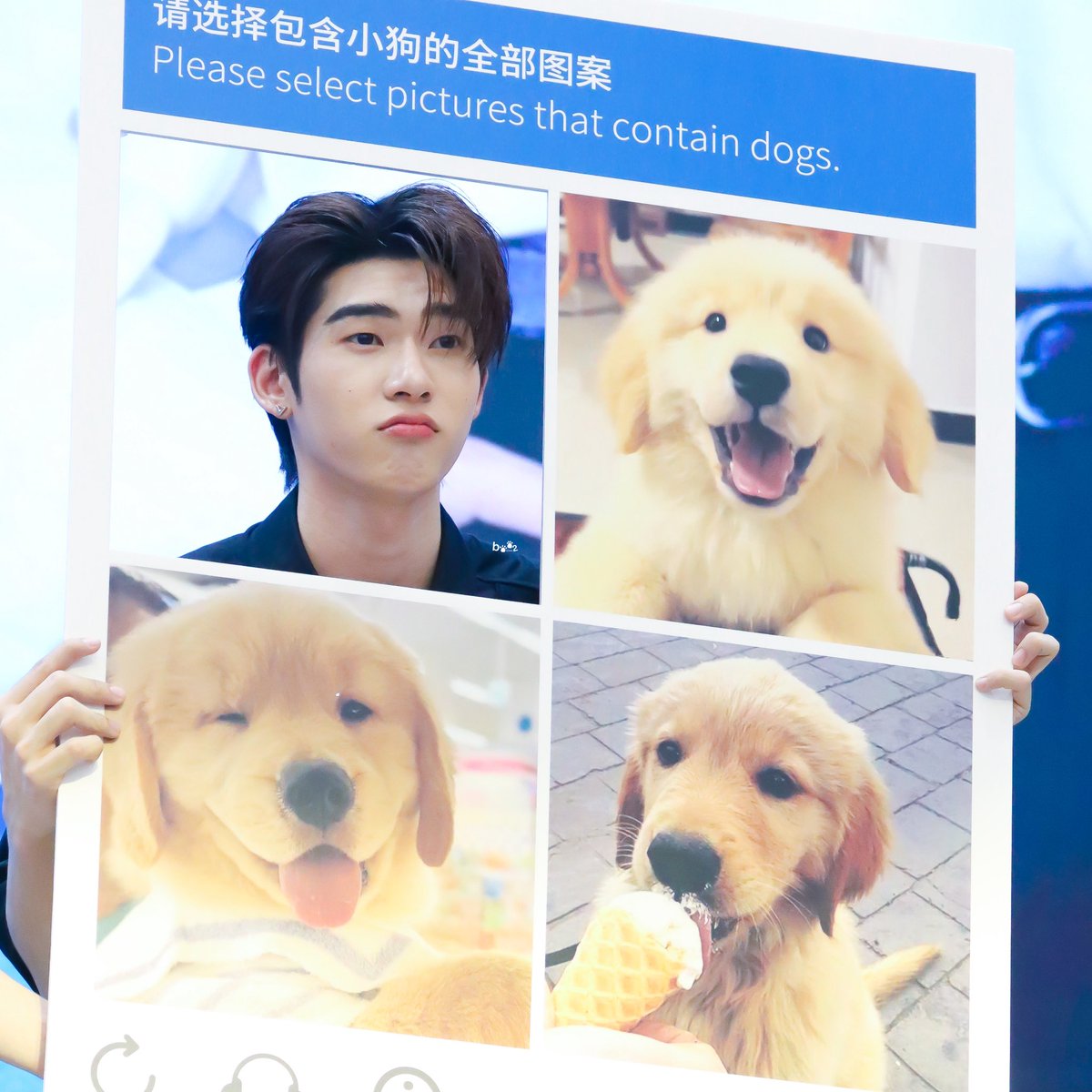 บูวบูว ·ᴥ· ‎ꕀ .* tweet media