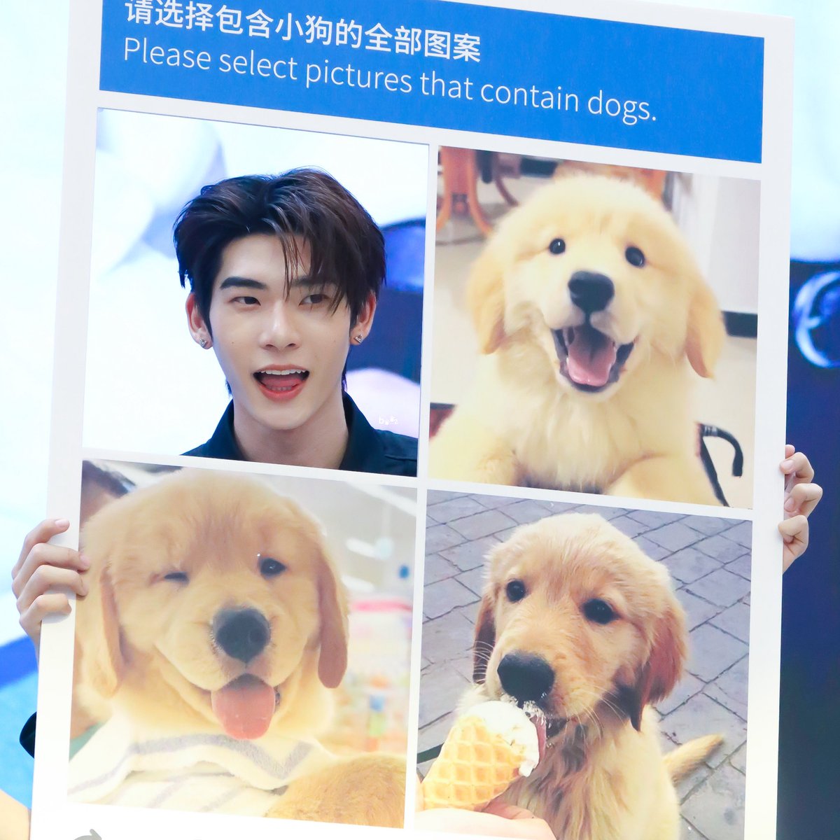 บูวบูว ·ᴥ· ‎ꕀ .* tweet media