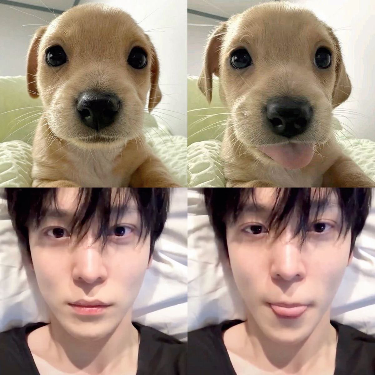 yeommy🐾 tweet media