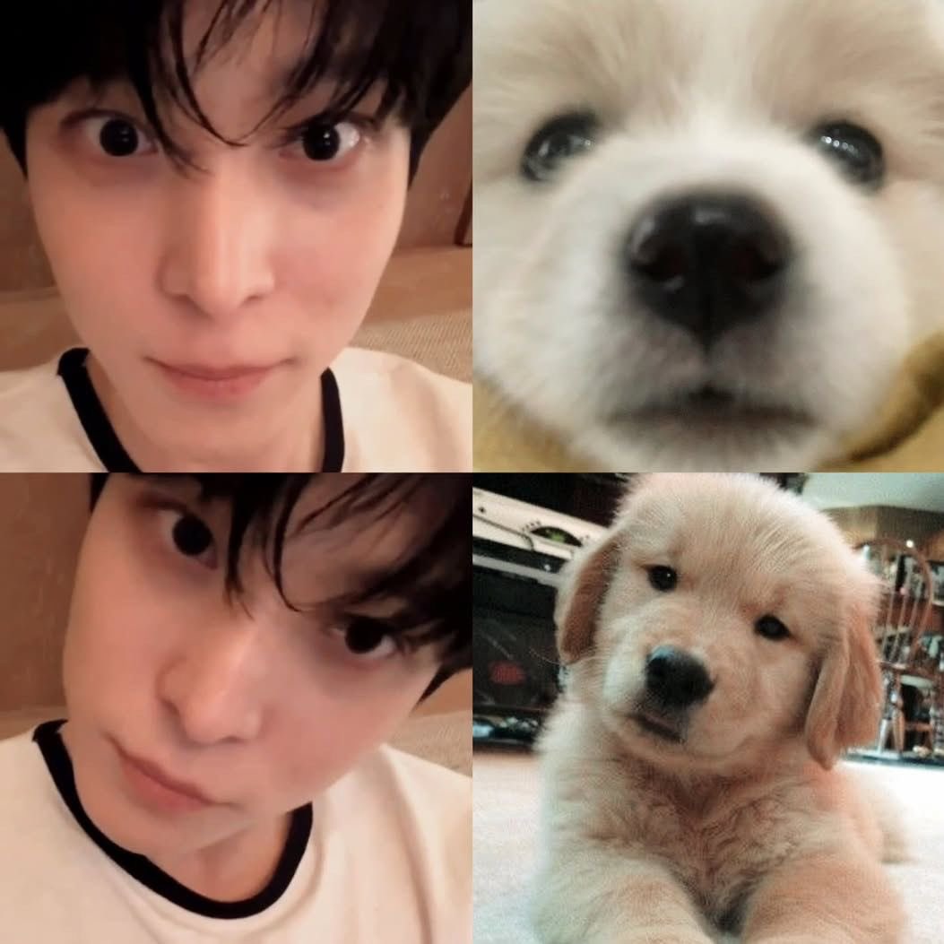 yeommy🐾 tweet media