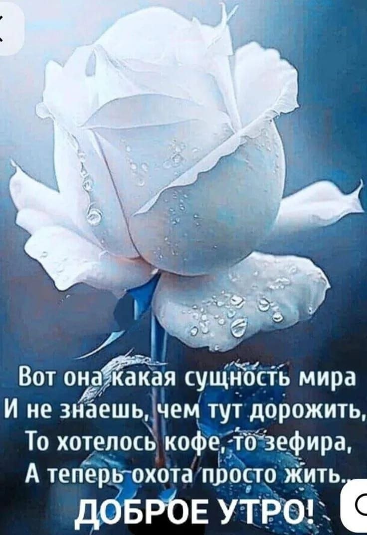Марина (@747drema) on Twitter photo 