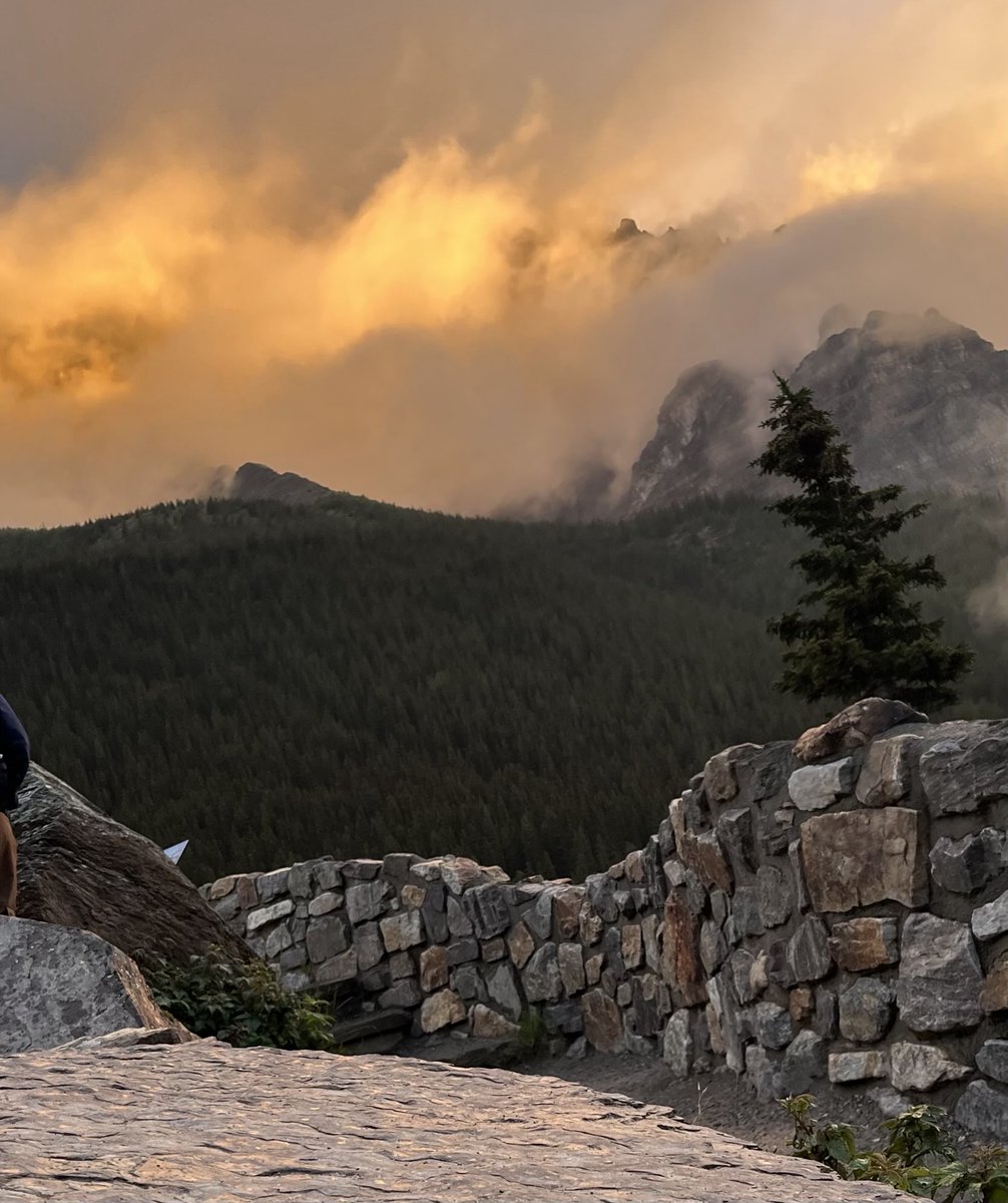 Martin G tweet media