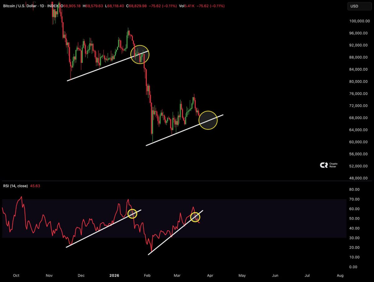 Crypto Rover tweet media