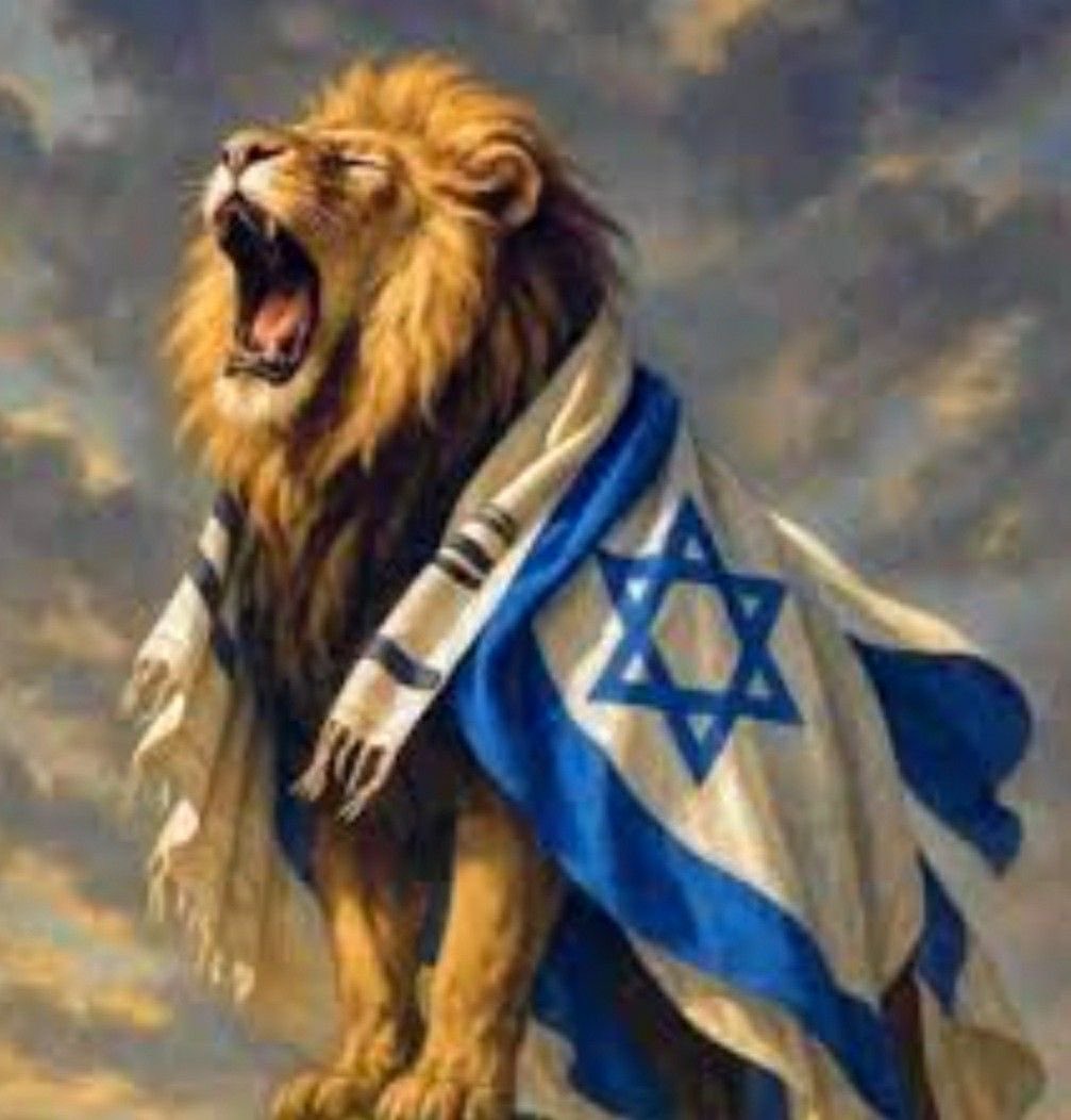 Alker warrior of Israel🇮🇱✡️ tweet media
