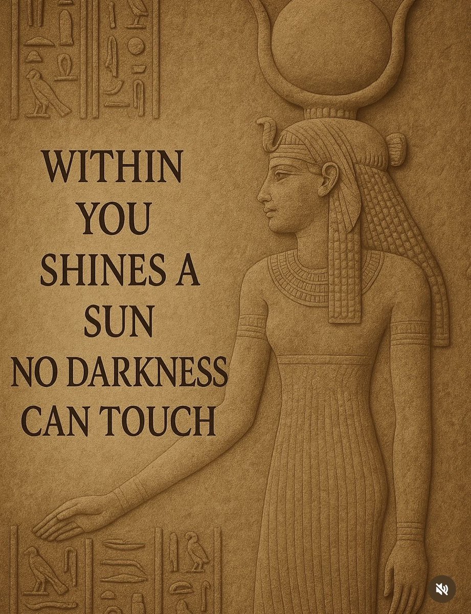 🧬Maxpein🧬 tweet media