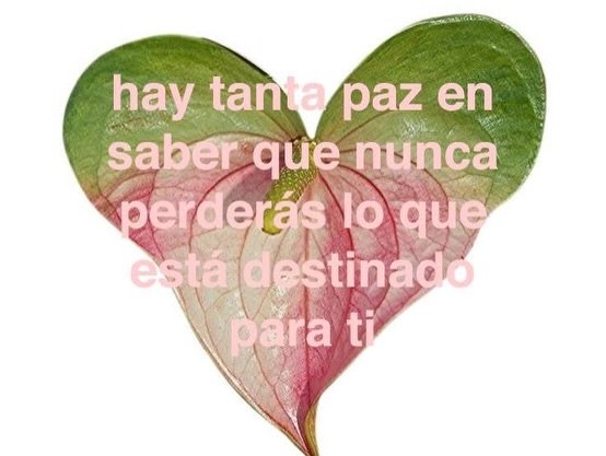 Ojos color sol tweet media