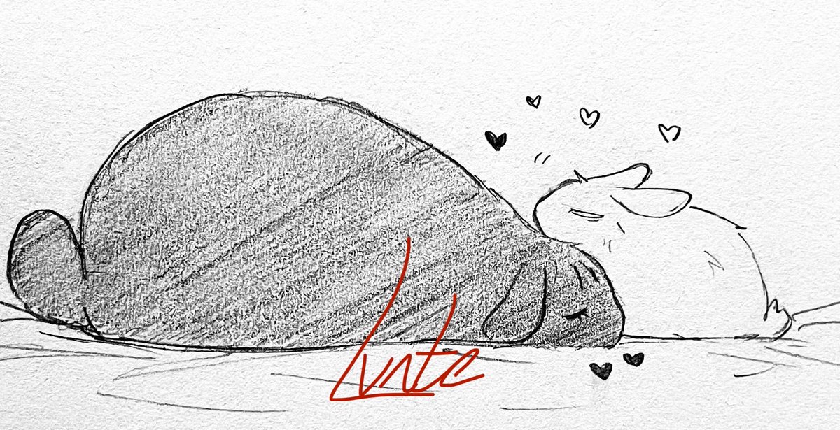 lunte_undercover tweet media