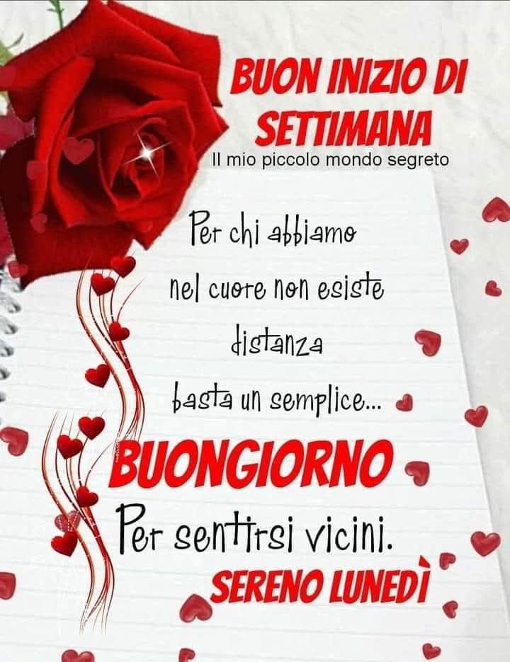 🌹Elisabeth🌹🇳🇱🚜❣️🇮🇹🚜 tweet media