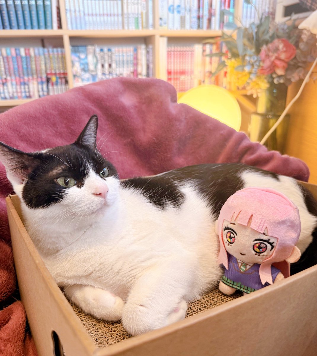 晴川シンタ💫 tweet media