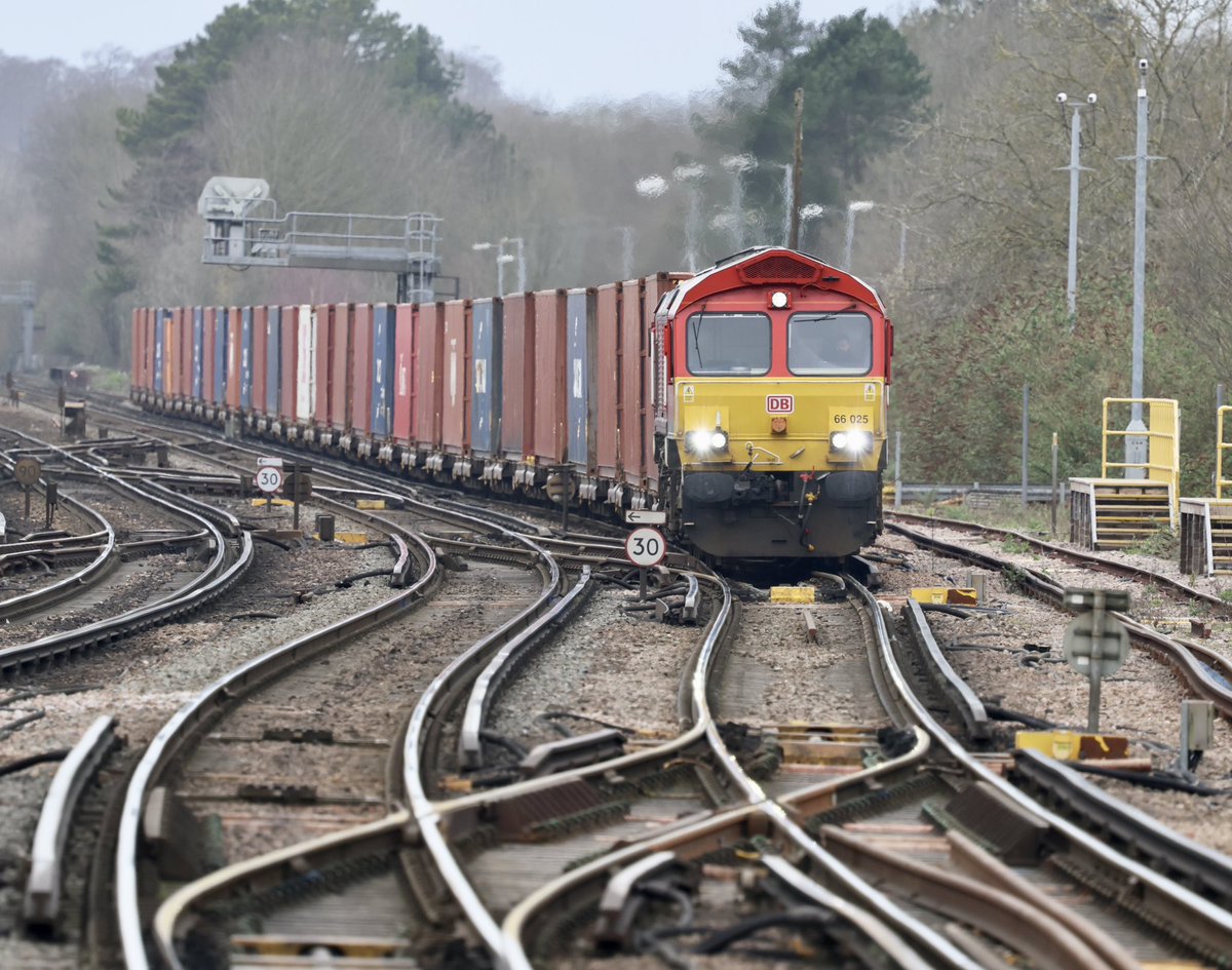 RegalEagle tweet media