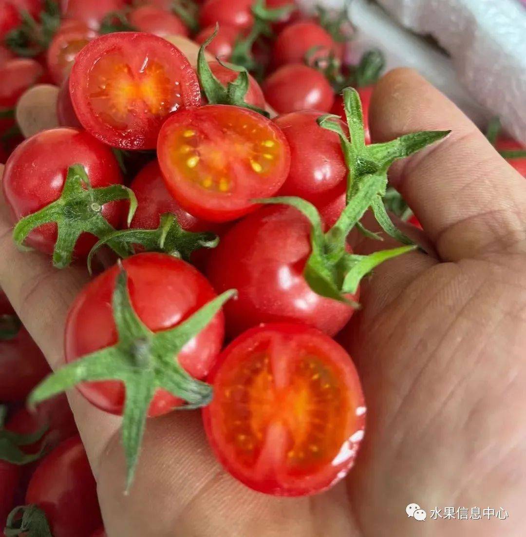 mohamed bangoura tweet media