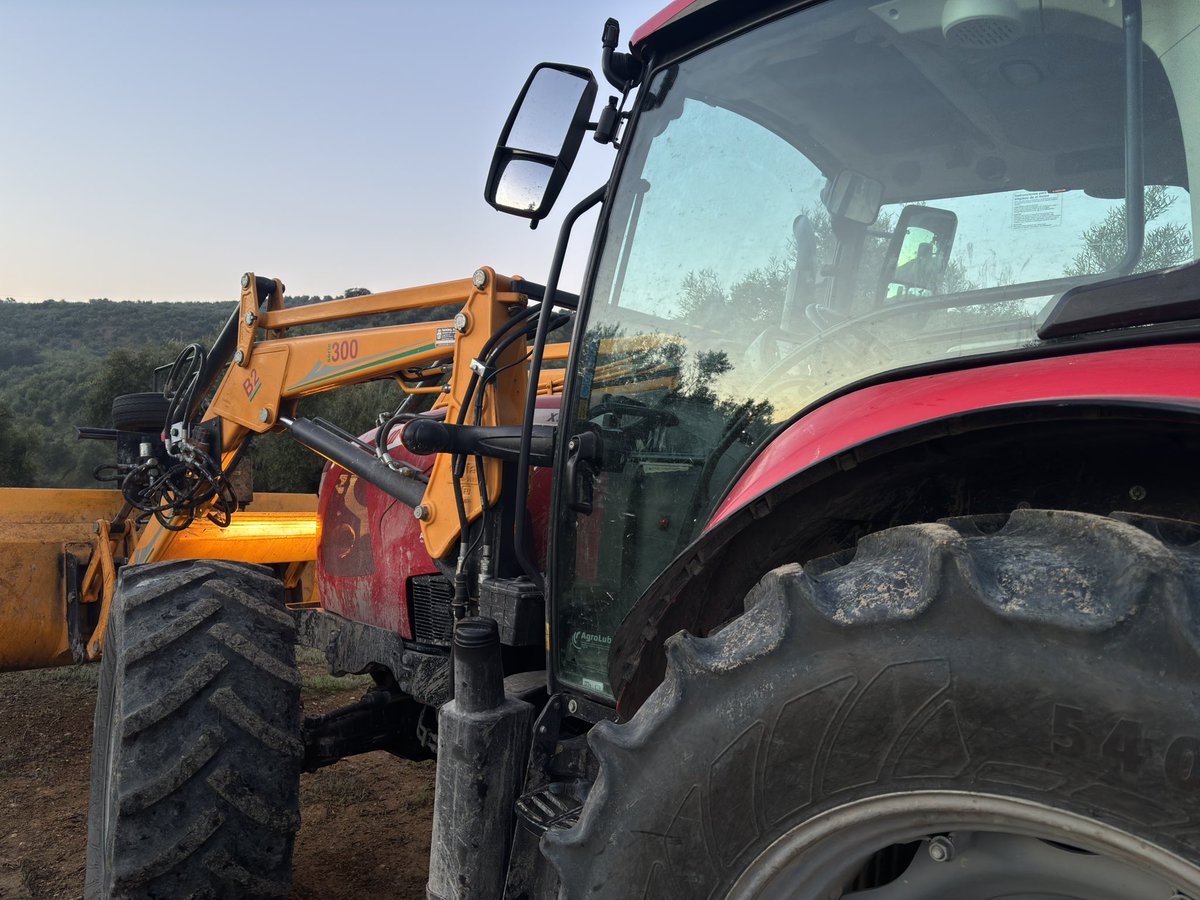 Yoyo Fernández 🫒🚜 🫏 tweet media