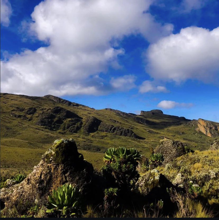 RugoteTours's tweet photo. Good morning, travellers ☀️🌍

Today we journey to the stunning Mount Elgon a place of calm, beauty, and endless adventure ✨

Blessed with cool mountain air, hidden waterfalls, and views that stretch beyond the horizon 🌿⛰️
An ancient giant with one of the world’s largest calderas, Elgon is where nature truly shows off 💫

Pack your energy, bring your vibe let’s explore the magic together 🚶🏾‍♂️💚