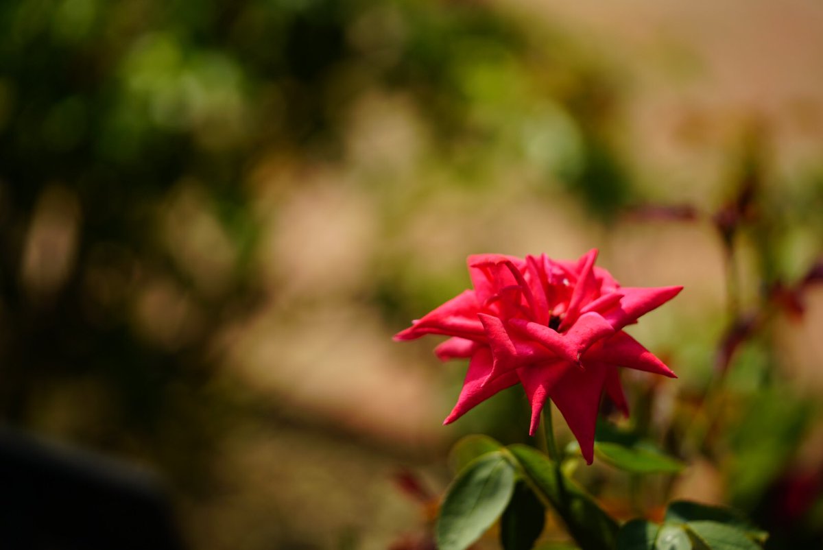 ホークアイ@再スタート垢 tweet media