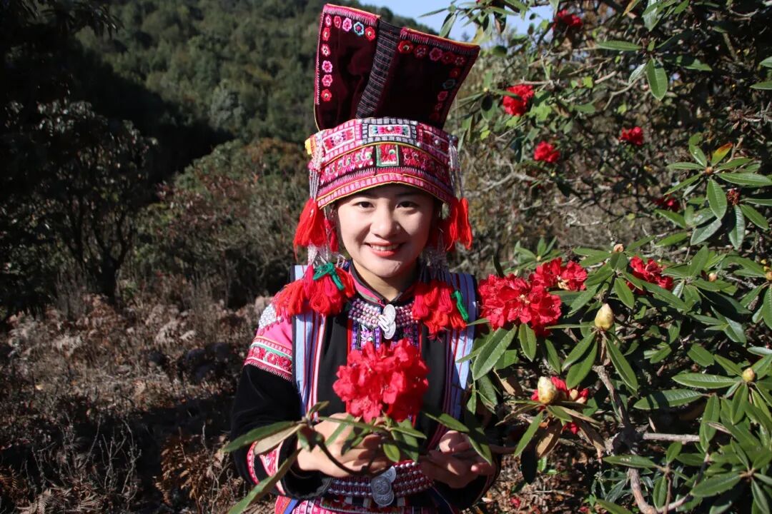 mighty_fu93972's tweet photo. 马缨花下的彝族阿妹 #China #Culture #Ethnicgroups https://t.co/EzGrKZaCZ6