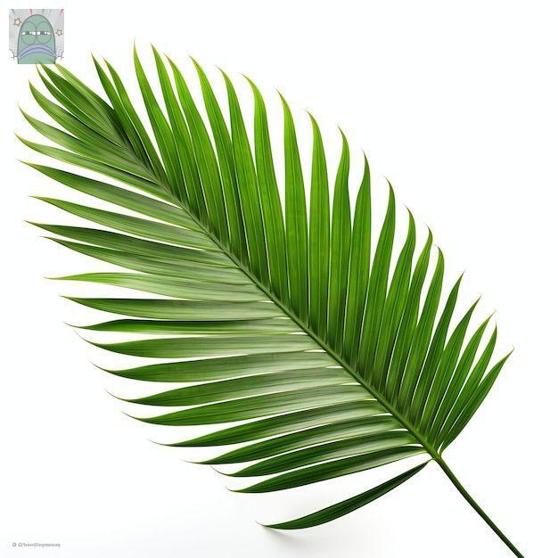 Tanyarlfes tweet media