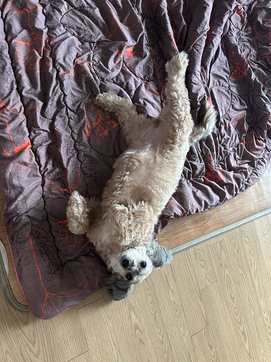 김레노/Reno Kim🔜 FURST CLASS tweet media