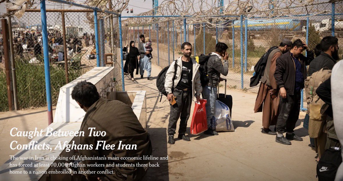 Elian Peltier tweet media