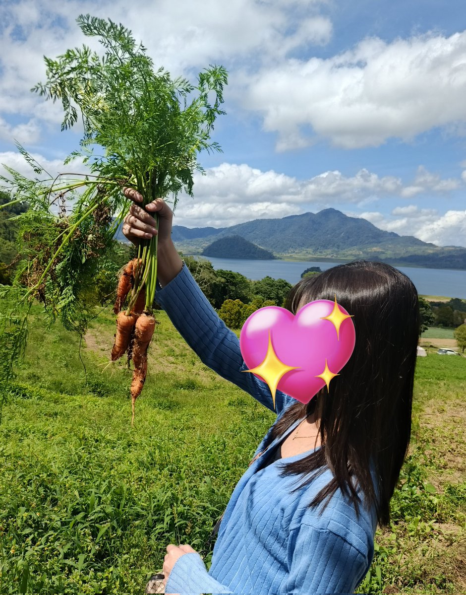 Vhika Hikari 😺🌙 | tweet media