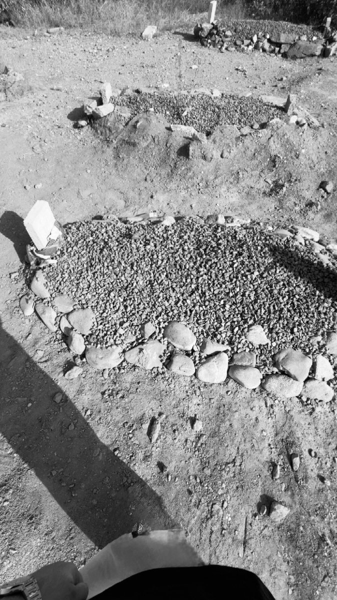 Monster. tweet media