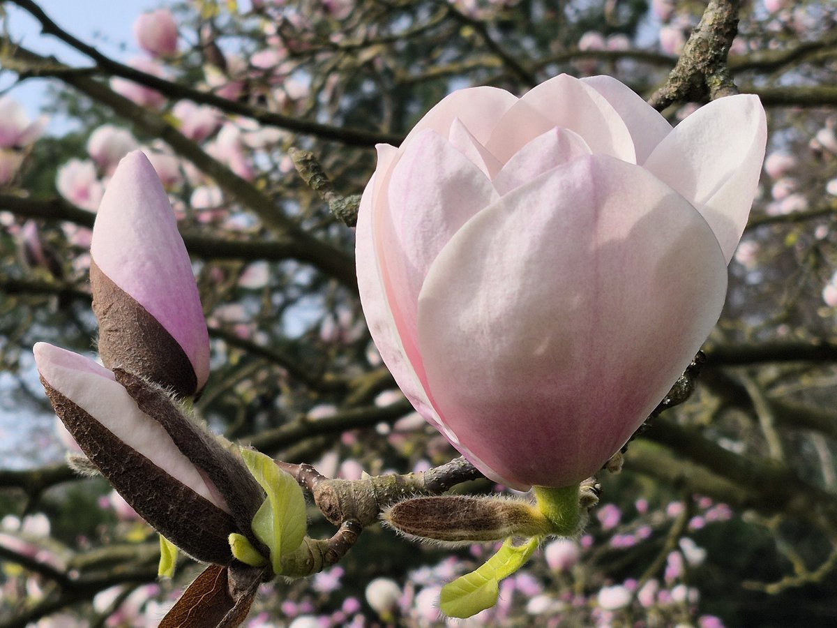 Paul Selby tweet media