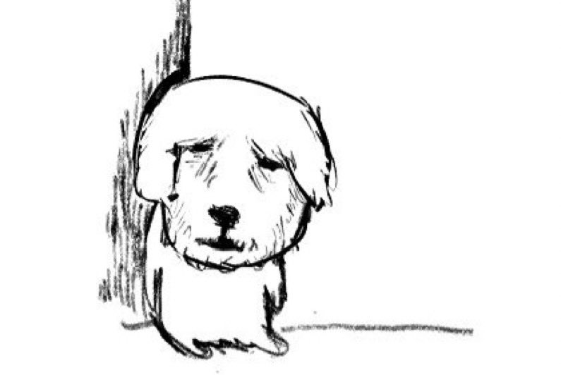 사약[SAYAK] tweet media