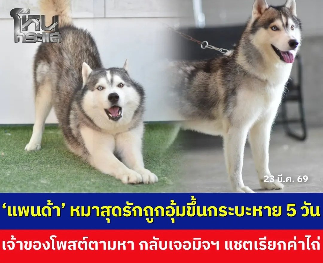 Tarot to youuuu tweet media