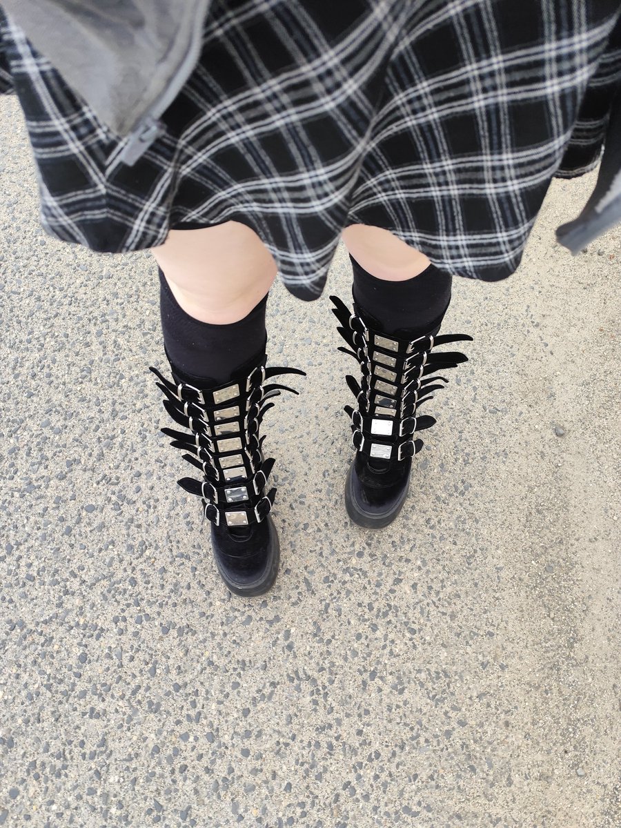 makiroo💸femdom-findom 🐶 tweet media